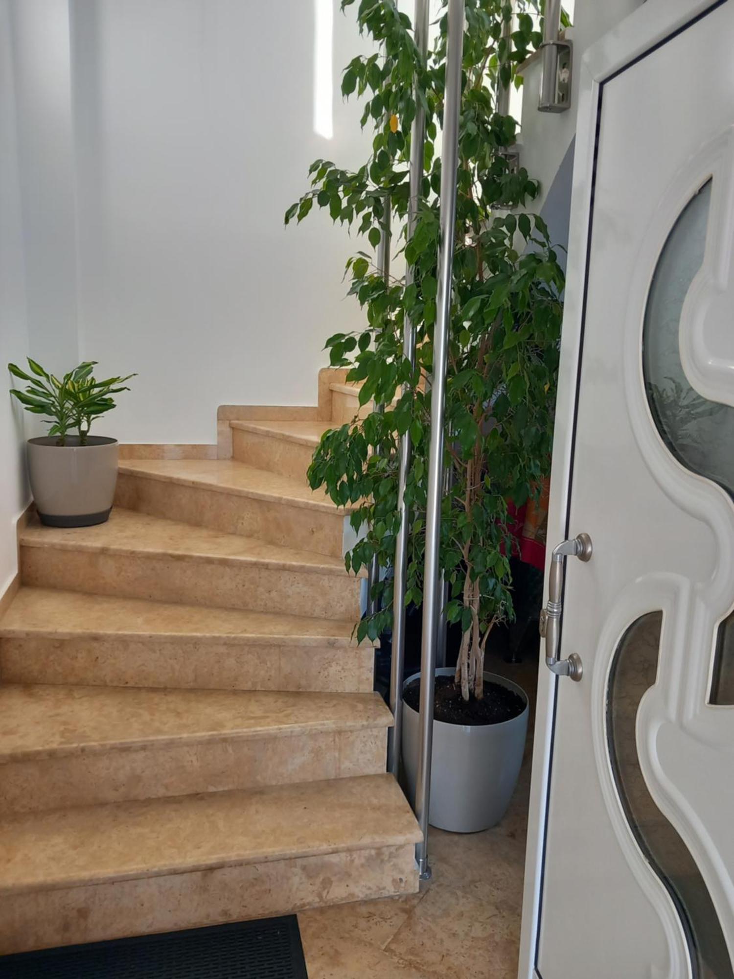Luxury Apartment Amarynthos Exterior photo